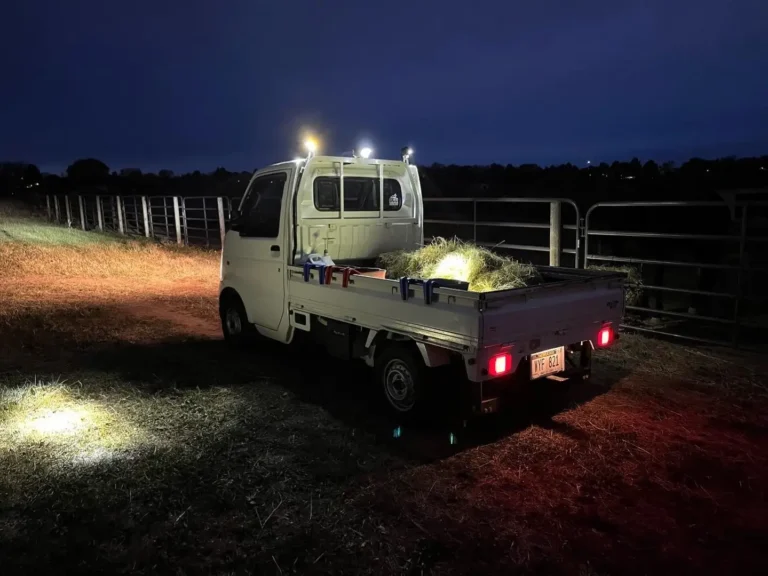 Kei Truck with spot lights