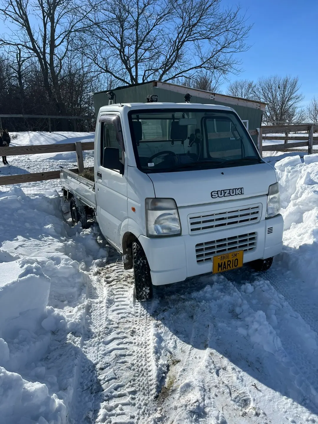 Suzuki Carry in the snow